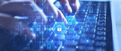 網(wǎng)絡(luò)技術(shù)服務(wù)市場的規(guī)模與機遇